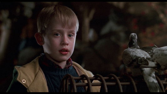 Home Alone 2: Lost in New York