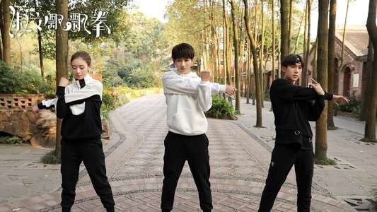 淑女飘飘拳