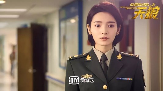 反恐特战队之天狼