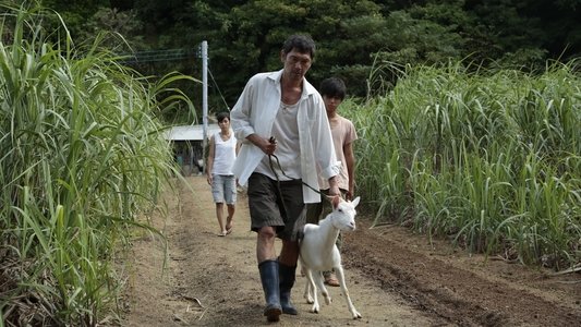 2つ目の窓