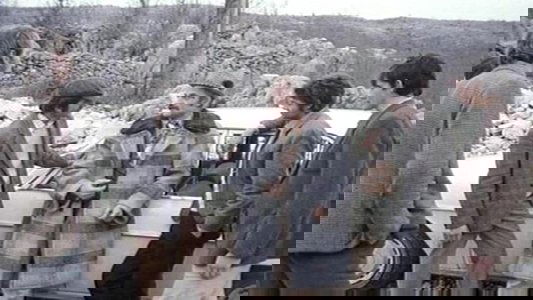 Ne naginji se van