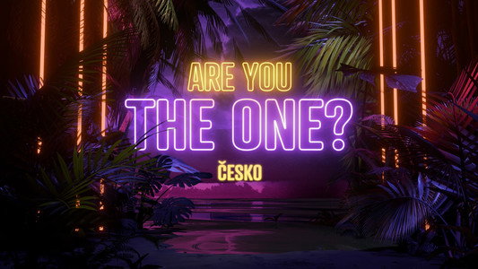 Are you the one?