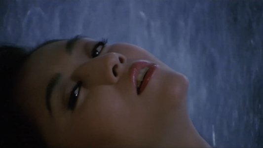美姉妹肉奴隷