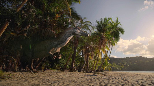 The Dinosaurs