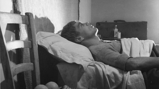 Una vita violenta