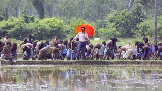 சுல்தான்