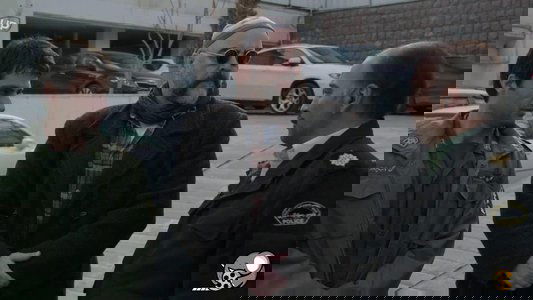 شاهگوش