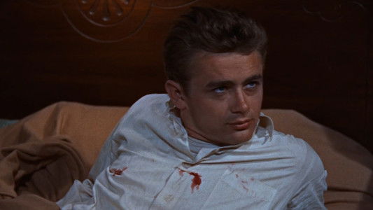 Rebel Without a Cause