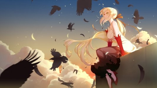 傷物語〈Ⅱ熱血篇〉