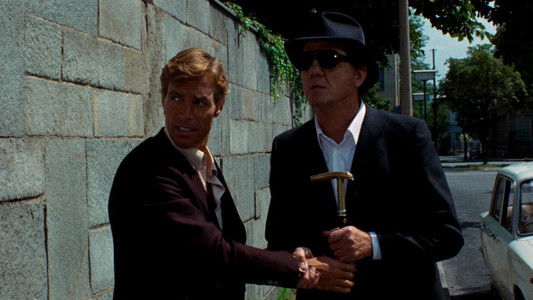 Il gatto a nove code