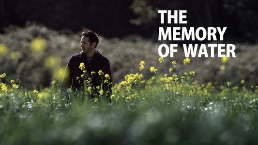 La memoria del agua