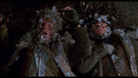 Home Alone 2: Lost in New York