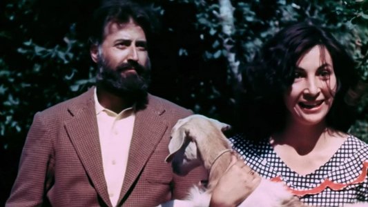 Halıcı Kız