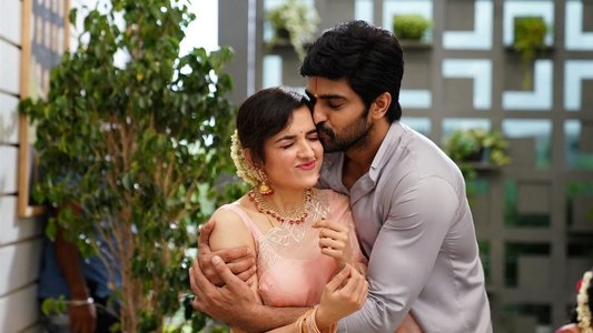 కృష్ణ వ్రింద విహారి