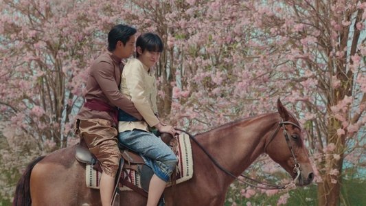 ฉันนี่แหละท่านขุนที่สวยที่สุด