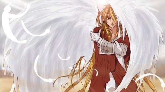D・N・ANGEL
