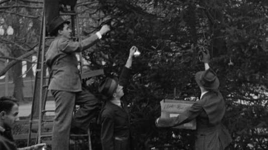 The National Christmas Tree, A Century of Celebration