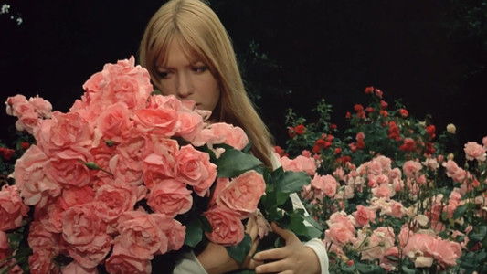 La Faute de l'abbé Mouret