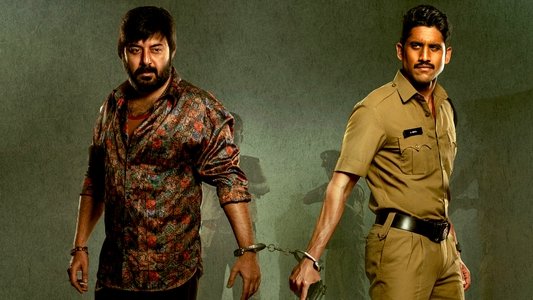 కస్టడీ