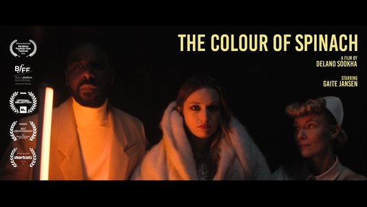 The Colour Of Spinach