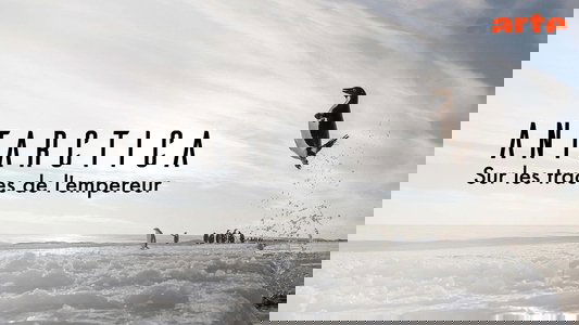 Antarctica, sur les traces de l'empereur