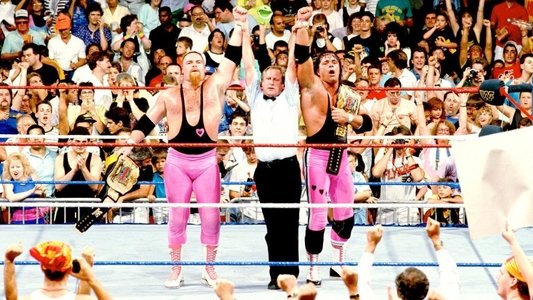 WWE SummerSlam 1990