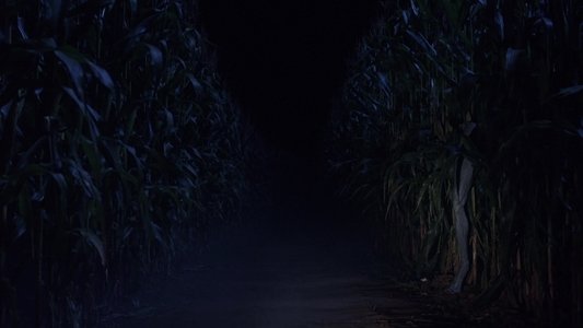 Signs