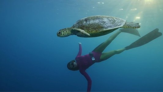 Ultimate Freedive: The Great Barrier Reef