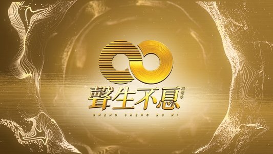 声生不息