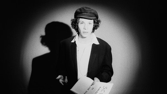 I Shot Andy Warhol