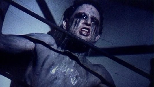 Horror Vacui