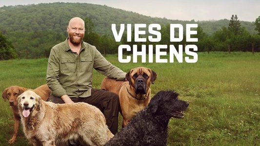 Vies de chiens