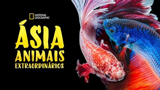 Asia's Weirdest