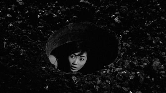 暗黒街の美女