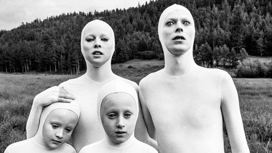 The Man Who Fell to Earth