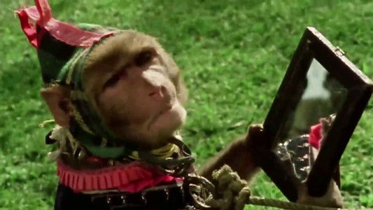 जाने भी दो यारों