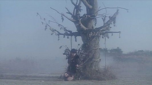 人造人間ハカイダー