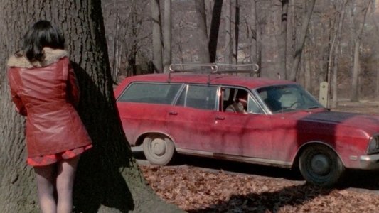Abduction of an American Playgirl