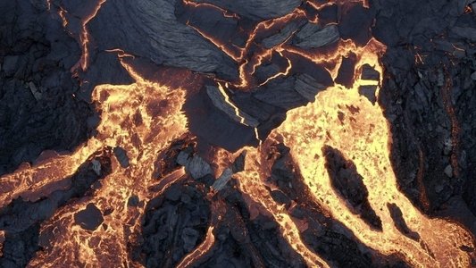 Terre, Les Forces du Vivant