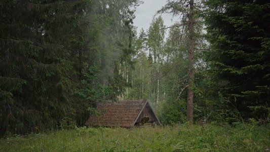 Savvusanna sõsarad