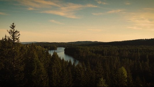 Skodde
