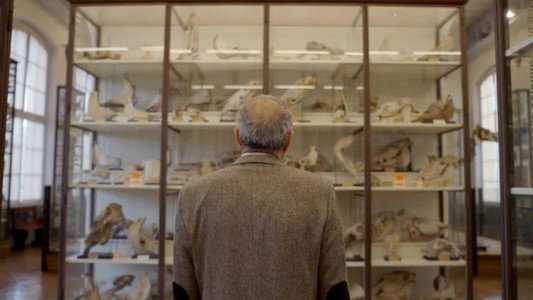 Covid, le secret des origines