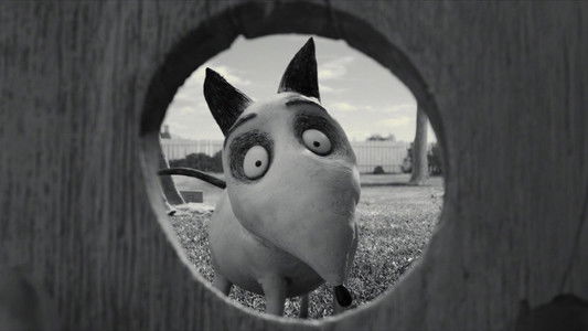 Frankenweenie