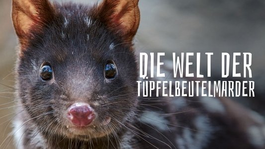 Quoll Farm