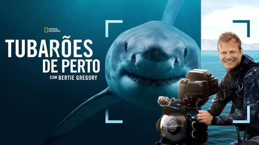 Sharks Up Close with Bertie Gregory