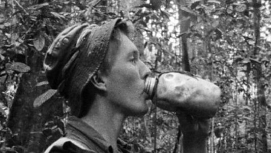 Jungle Green: Borneo