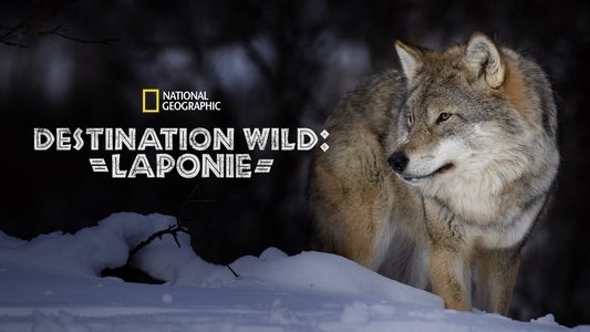 Wild Lapland