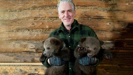 Grizzly Bear Cubs and Me