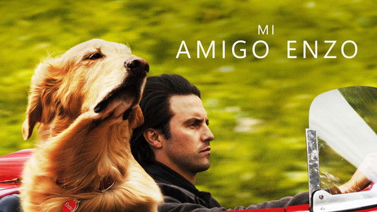 The Art of Racing in the Rain