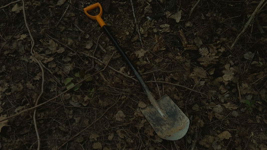 Latvijas Izmeklētāji